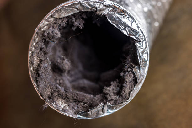 Professional Airduct Cleaning in Lomita, CA